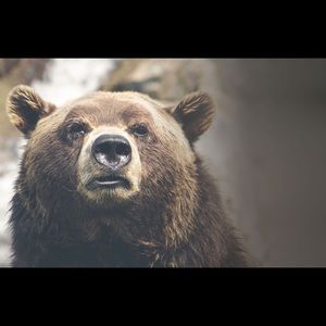 Meet your Posher, Criscristian